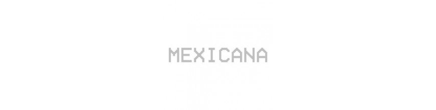 Mexicana boots femmes